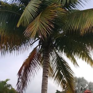 Meet your Posher, Nitza